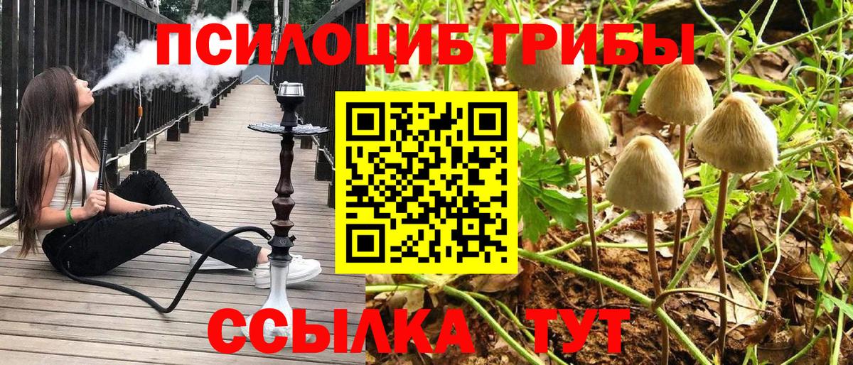 Миасс  Псилоцибиновые грибы мицелий  Вход с VPN 